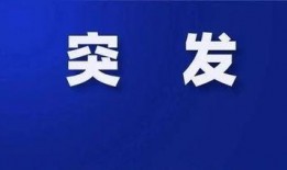小米员工最新爆料新闻报道,员工揭秘公司最新动态与未来规划”