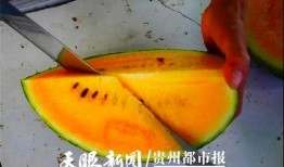 贵阳娱乐吃瓜事件真相是真的吗,真相揭秘，还原事件始末